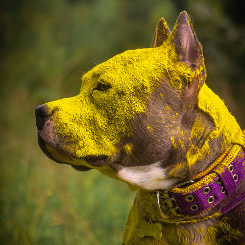 Photo #13836485