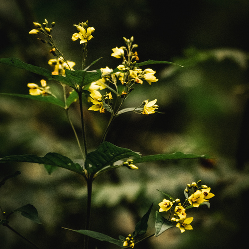 Photo #13836490