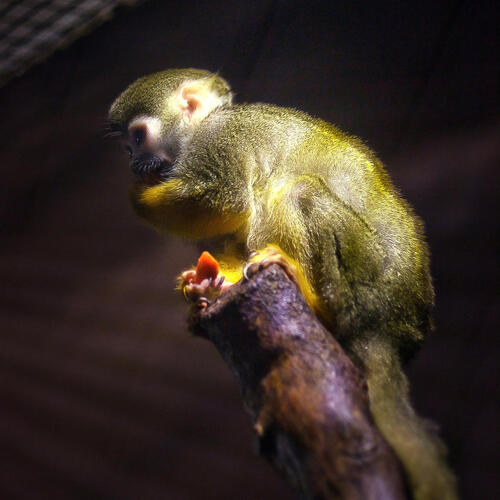 Photo #13836608