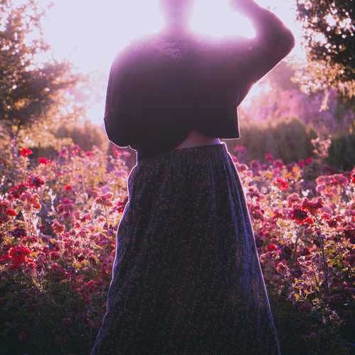 Photo #13836615