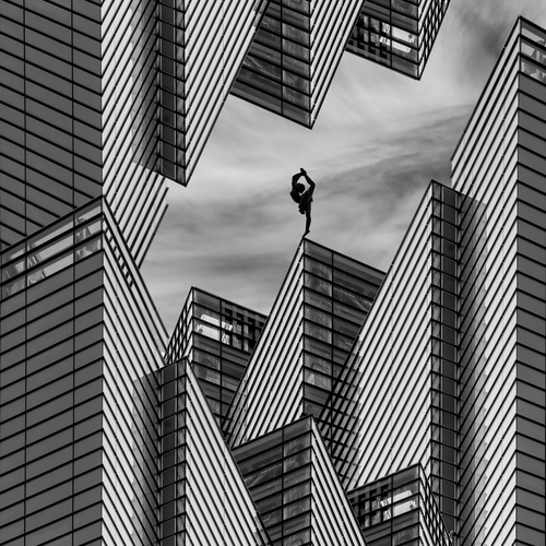 Photo #13836646
