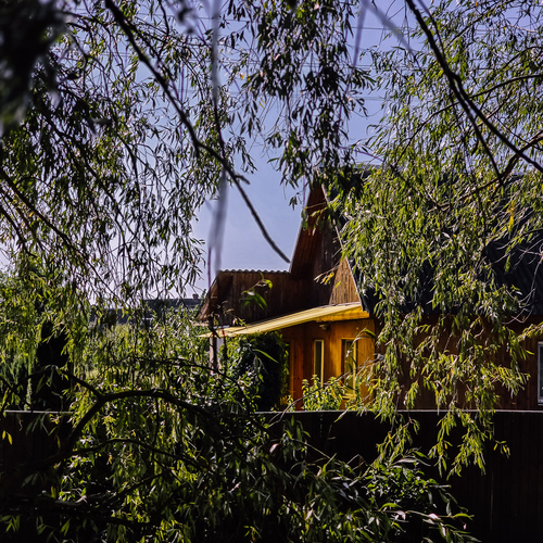 Photo #13836650