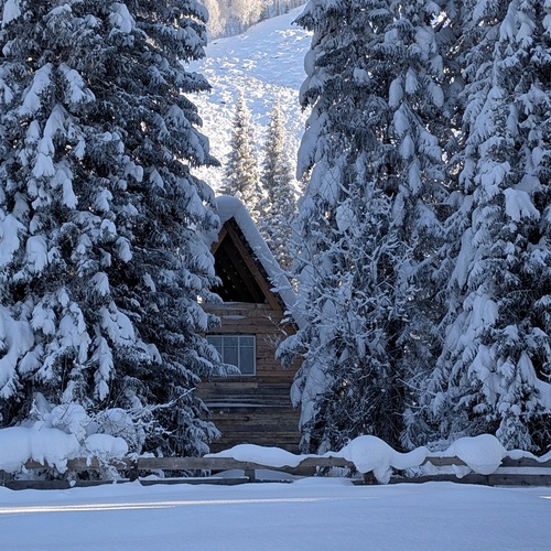 Photo #13836721
