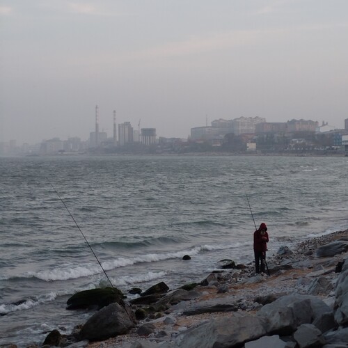 Photo #13836732