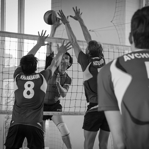 Photo #13836745