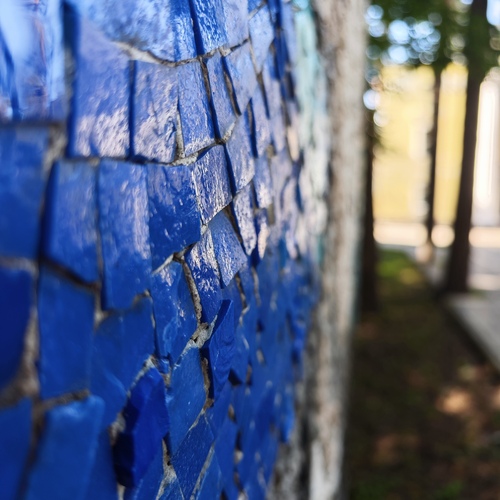 Photo #13836829