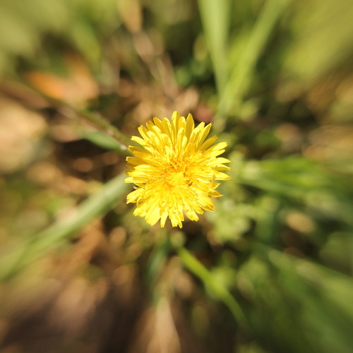 Photo #13836939