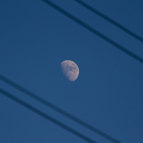 Photo #13836963