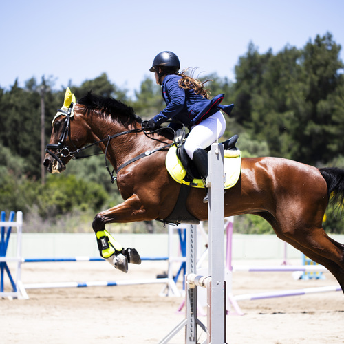 Photo #13837083