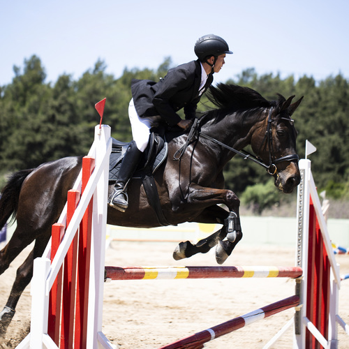 Photo #13837086