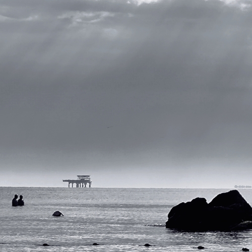 Photo #13837155