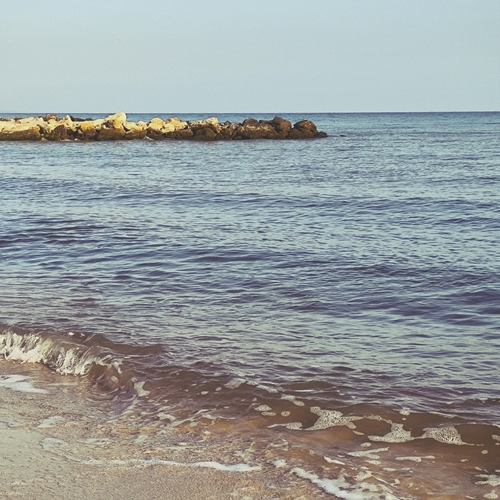 Photo #13837190