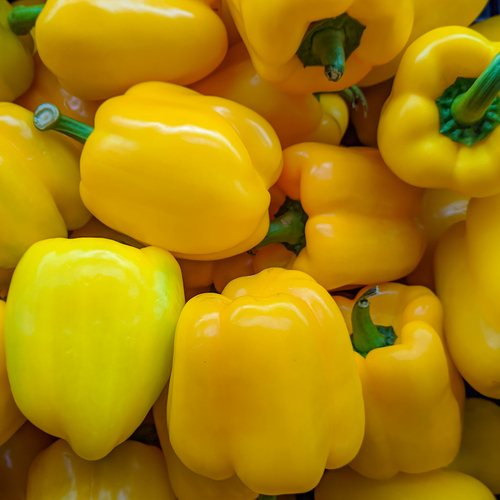 Vibrant Yellow Bell Peppers