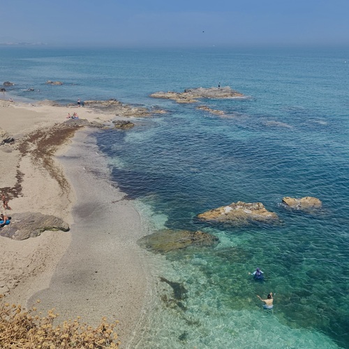 Photo #13837382
