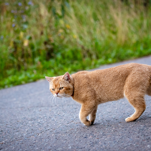 Photo #13837404