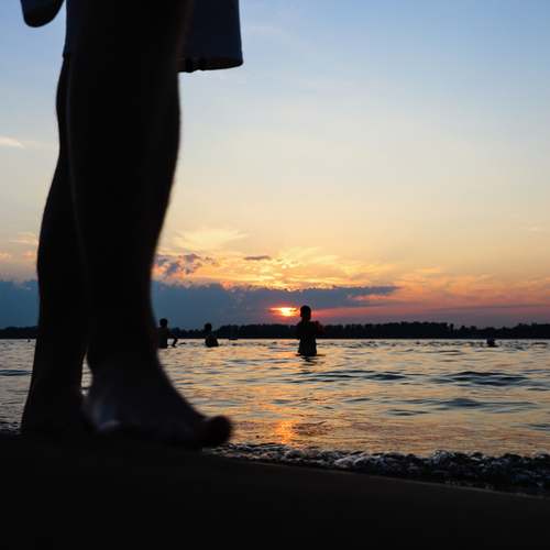 Photo #13837470