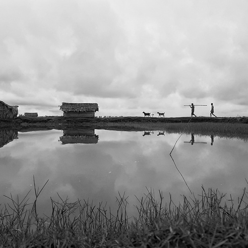 Photo #13837484