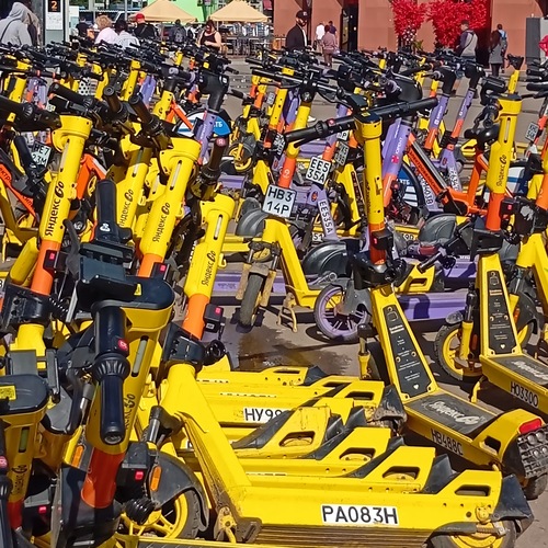 Photo #13837488