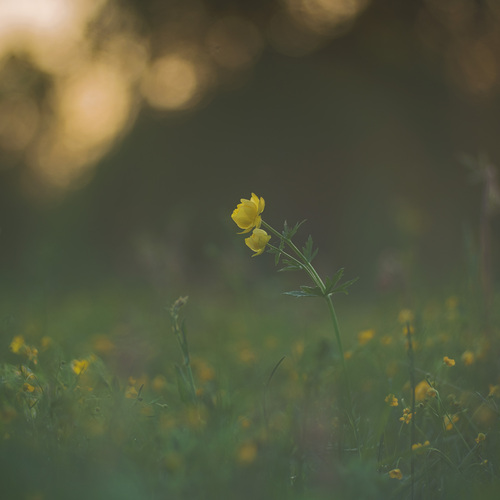 Photo #13837507