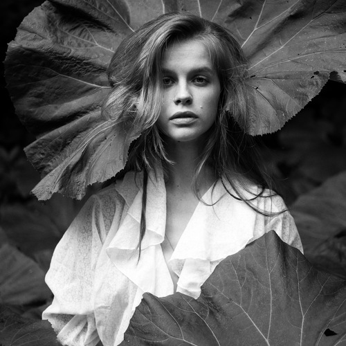Photo #13837555