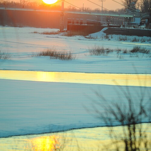 Photo #13837620