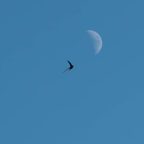 Photo #13837632