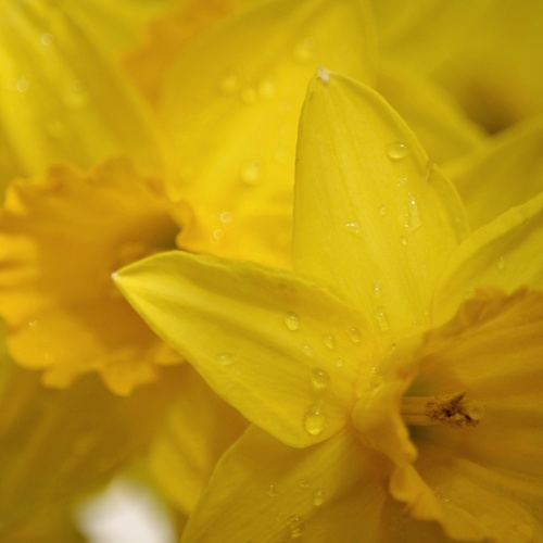 Photo #13837659