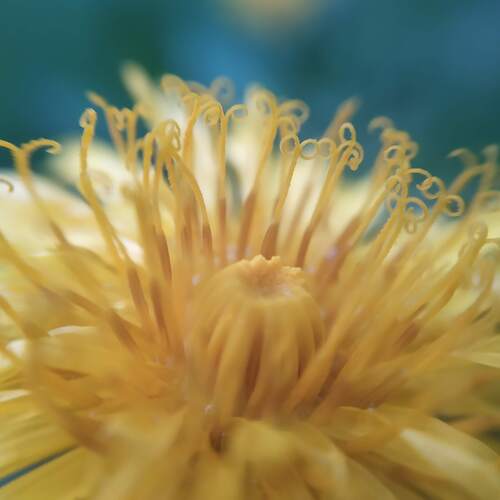 Photo #13837670