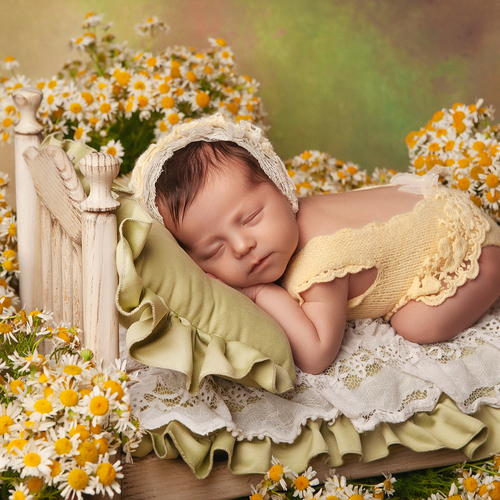 Photo #13837677