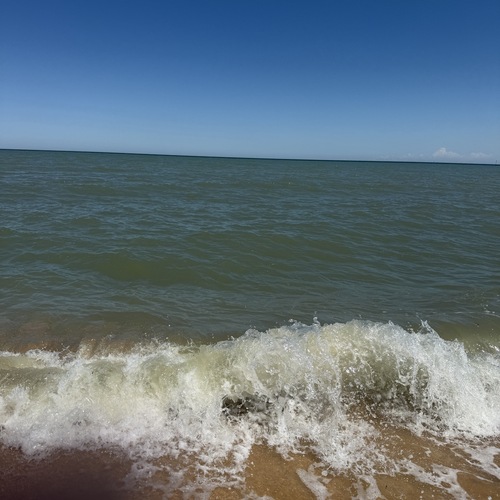 Photo #13837695