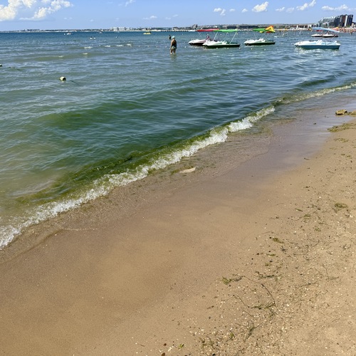 Photo #13837697