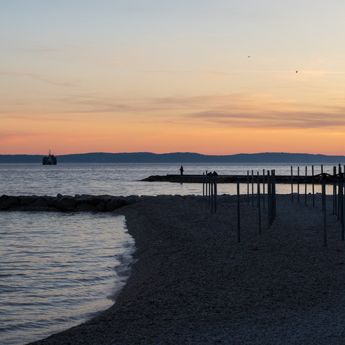 Photo #13837982