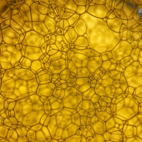 Photo #13838126