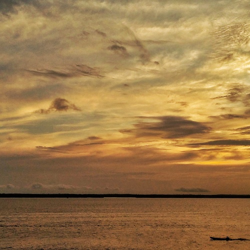 Photo #13838196