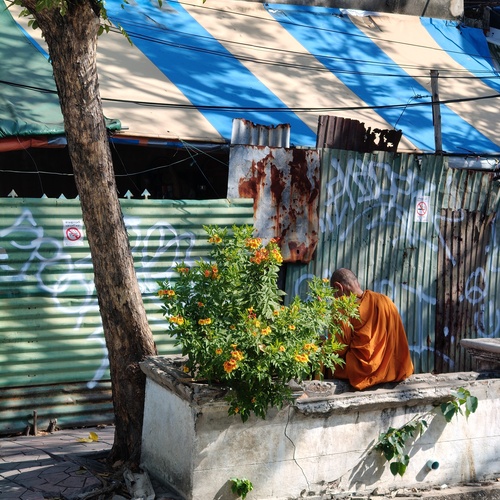 Photo #13838313