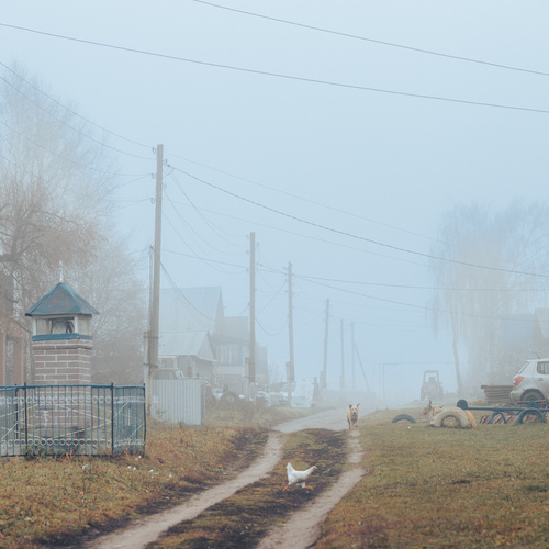 Photo #13838362