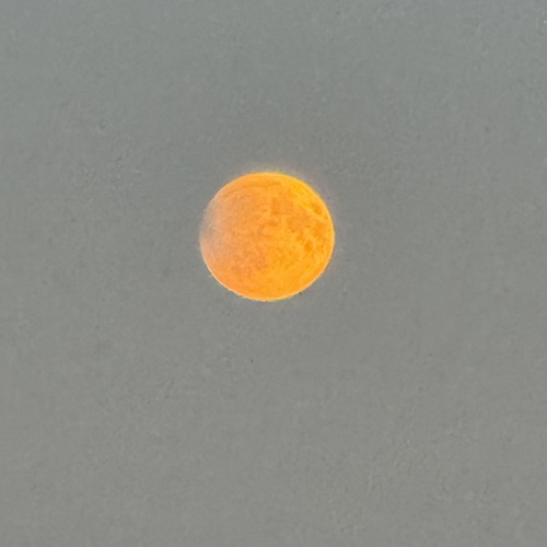 Photo #13838407