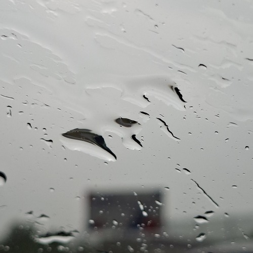 Photo #13838420