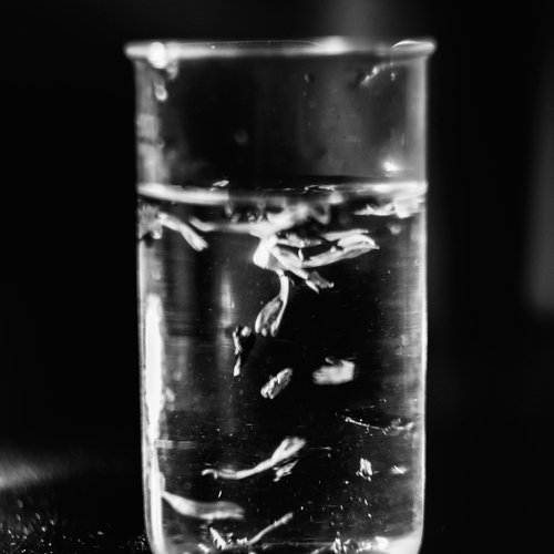 Photo #13838569