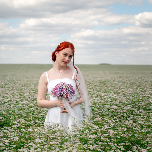 Photo #13838648