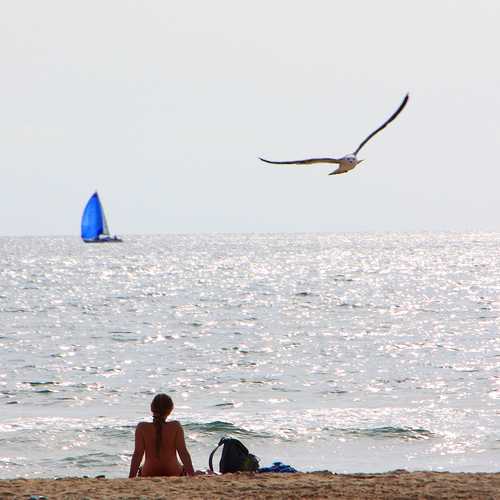 Photo #13838685