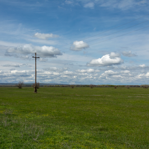 Photo #13838736