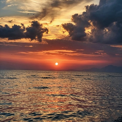 The Sunset