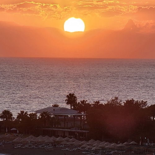 Photo #13838920