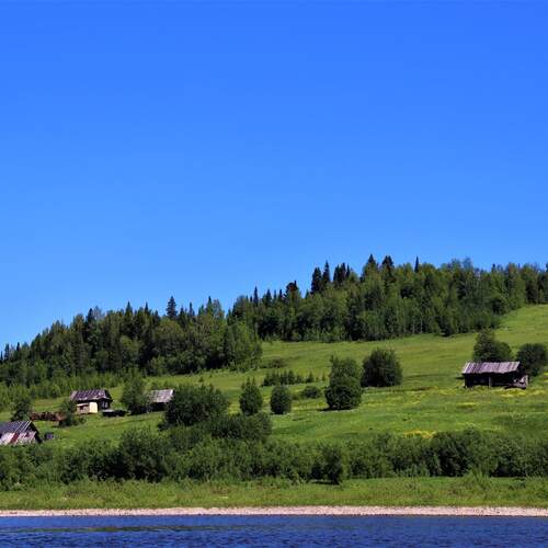 Photo #13839001