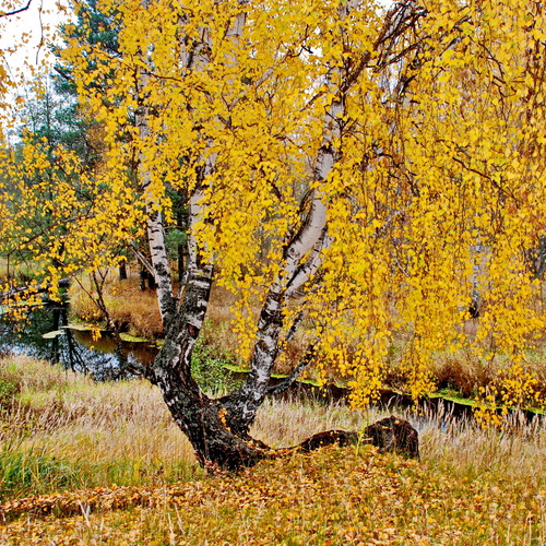 Photo #13839069