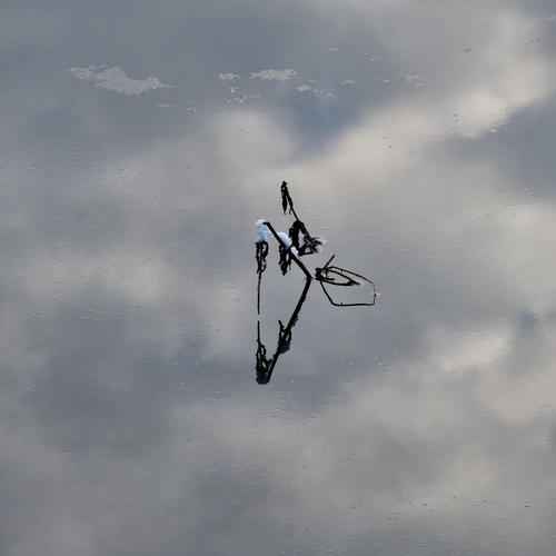 Photo #13839112