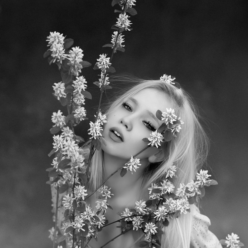 Photo #13839134