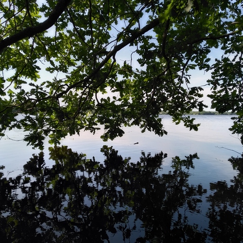 Photo #13839177