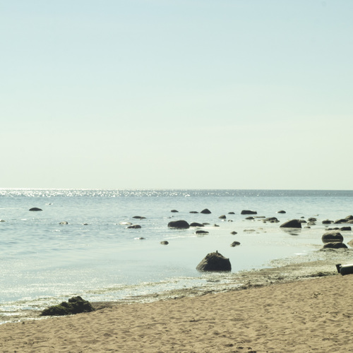 Photo #13839204